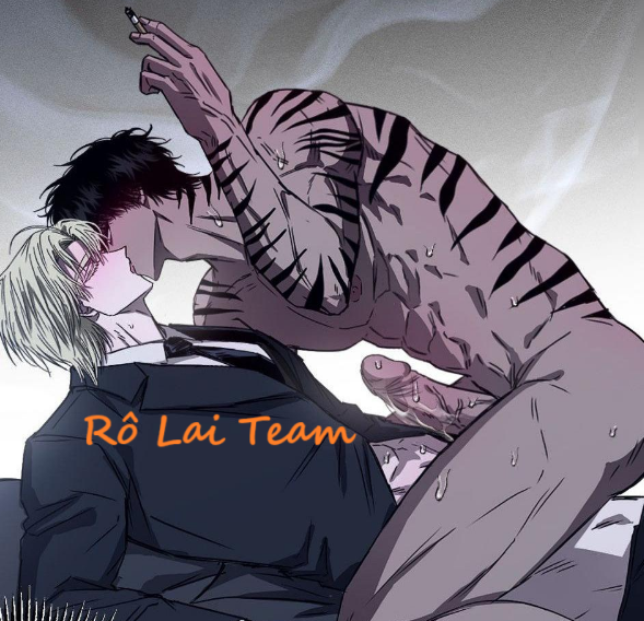 Vân Long Phong Hổ