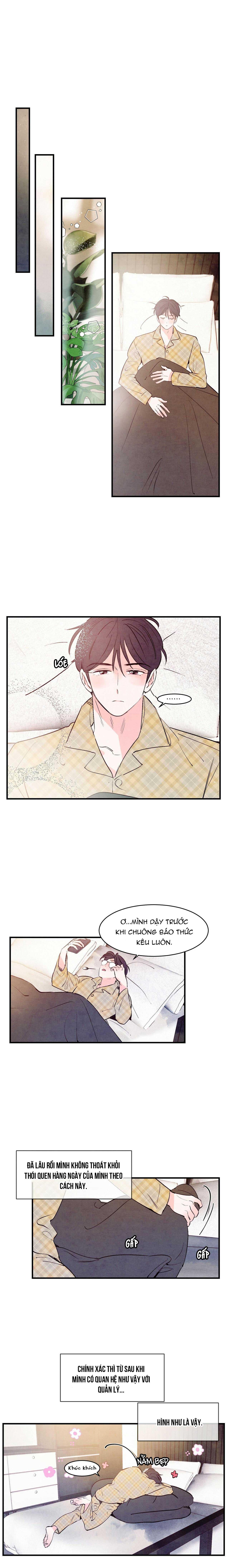 Say Tình - Chap 14