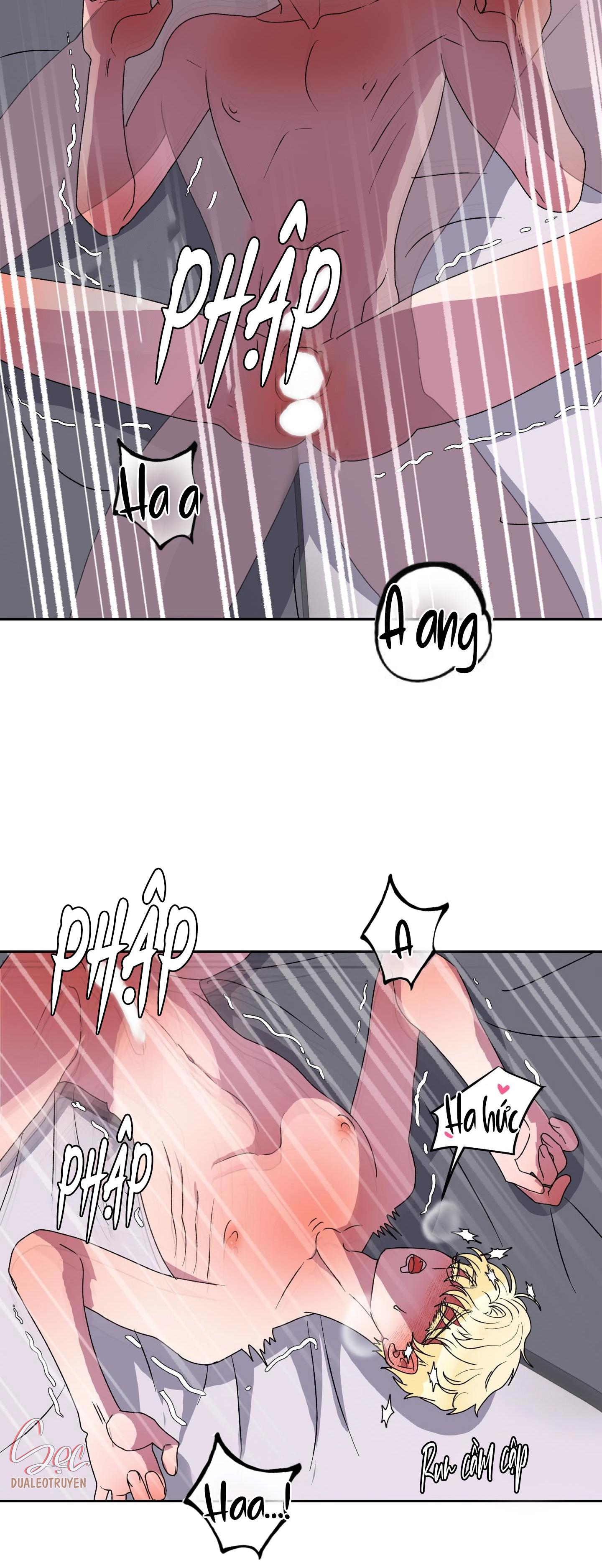 CÁ MẬP VÀ CÔ DÂU THỎ - Chap 12