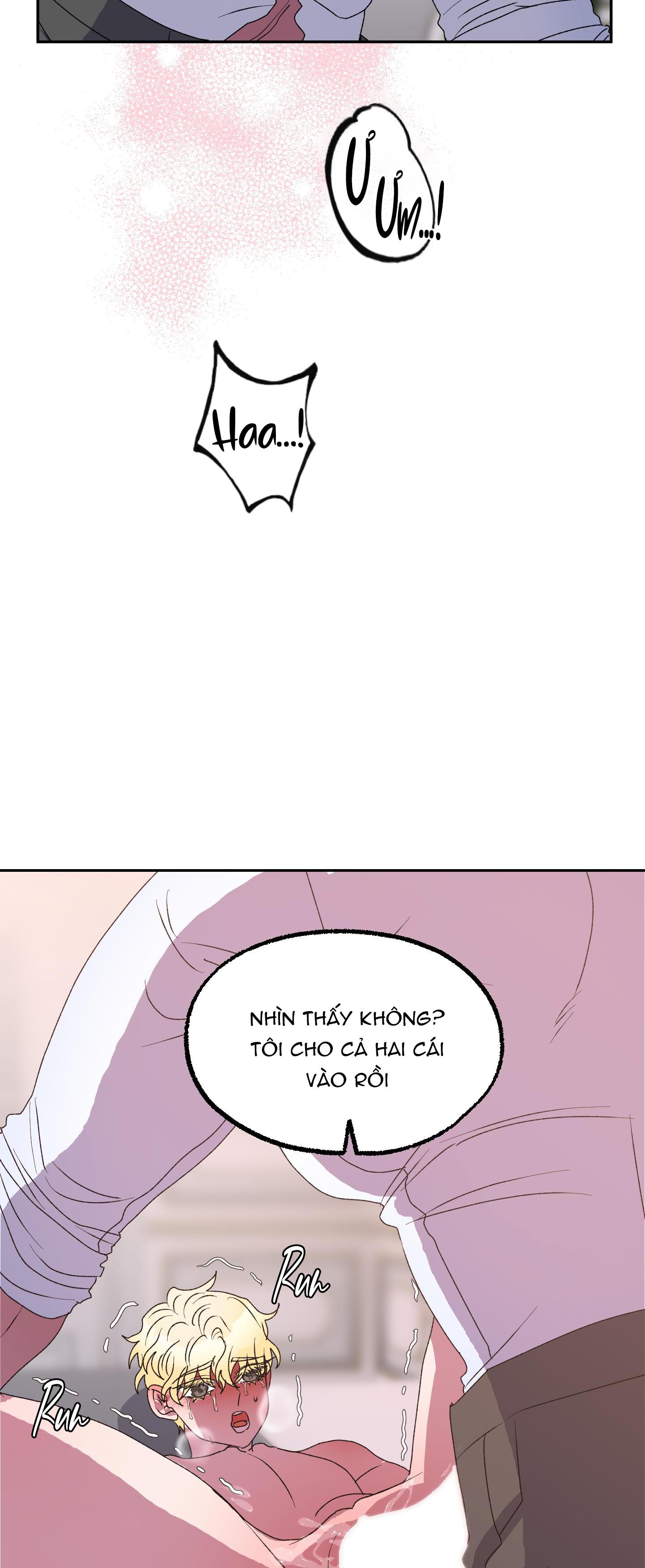 CÁ MẬP VÀ CÔ DÂU THỎ - Chap 12