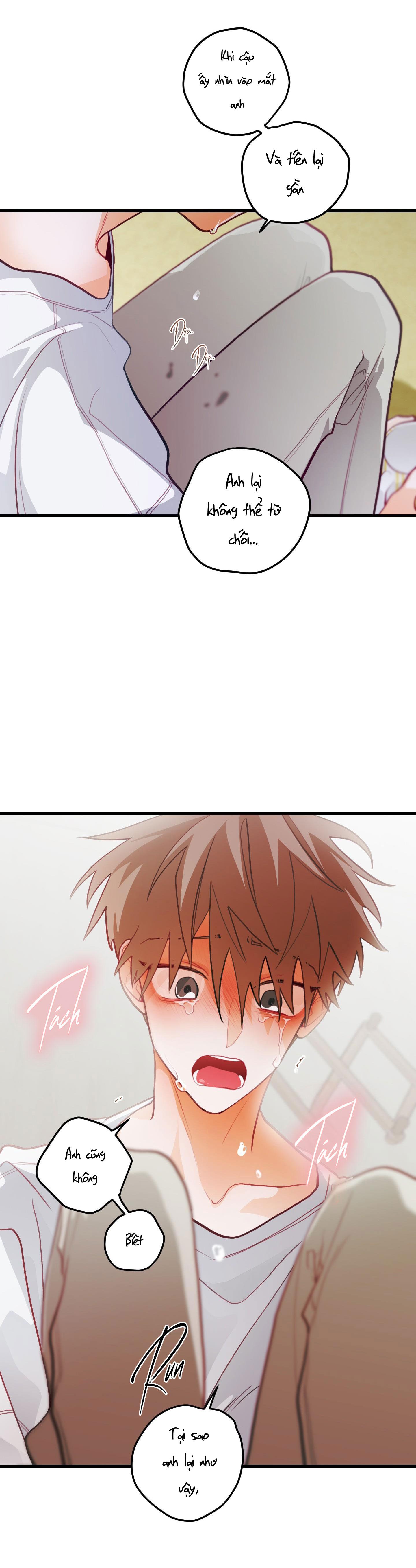 CHUYỆN TÌNH HOA LÊ NỞ - Chap 31