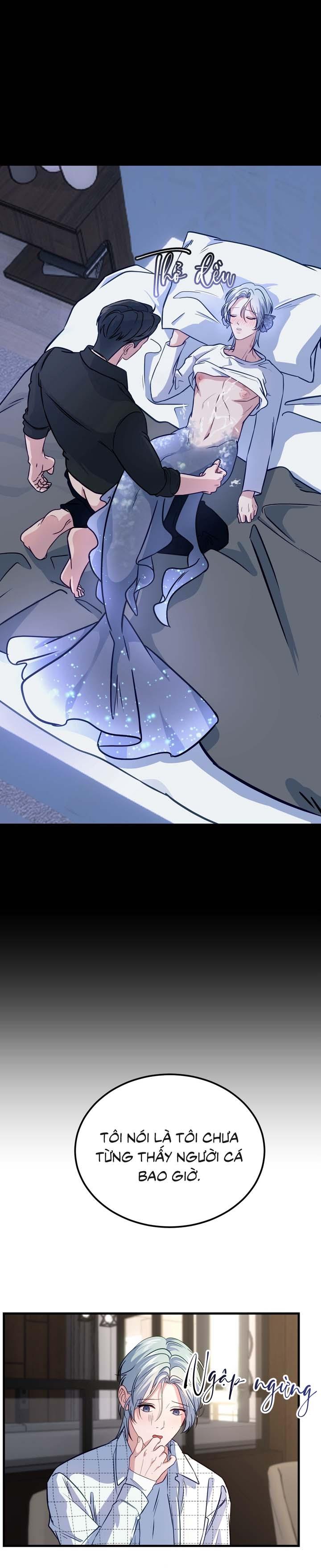 Người Cá Biến Mất - Chap 4