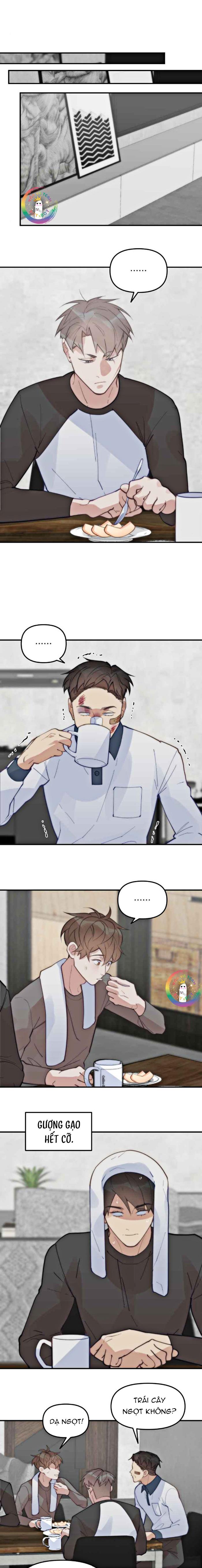 Đàn Anh Sói Ca Cùng Phòng Của Tôi - Chap 65