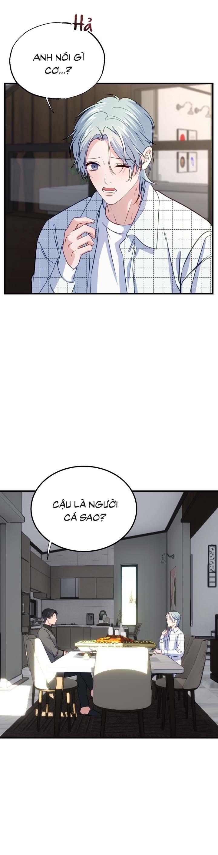 Người Cá Biến Mất - Chap 4