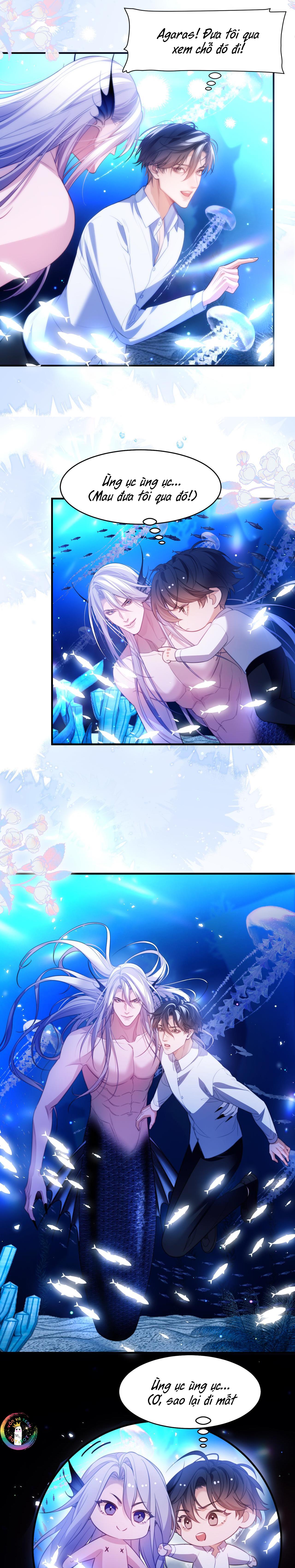 Nhân Ngư Desharow - Chap 59