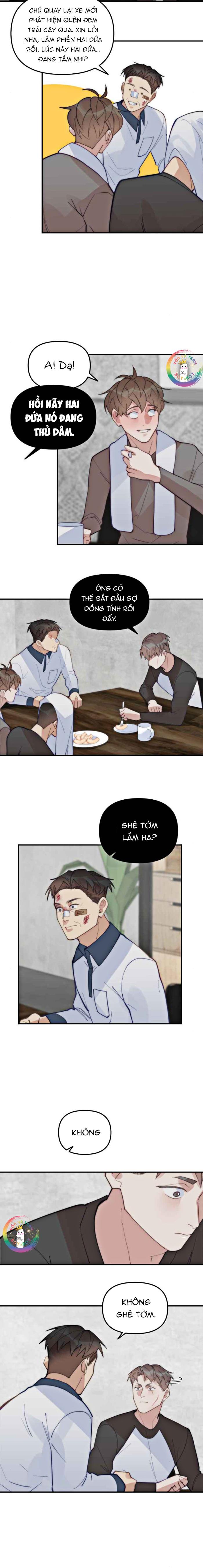 Đàn Anh Sói Ca Cùng Phòng Của Tôi - Chap 65