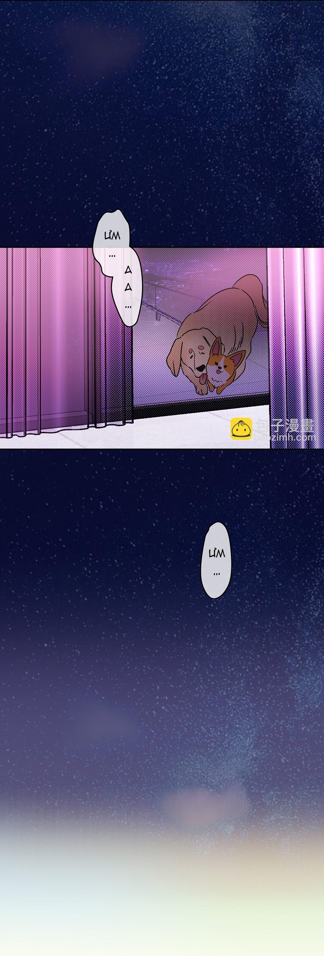 Anh Trai Rẻ Tiền Của Tôi - Chap 23