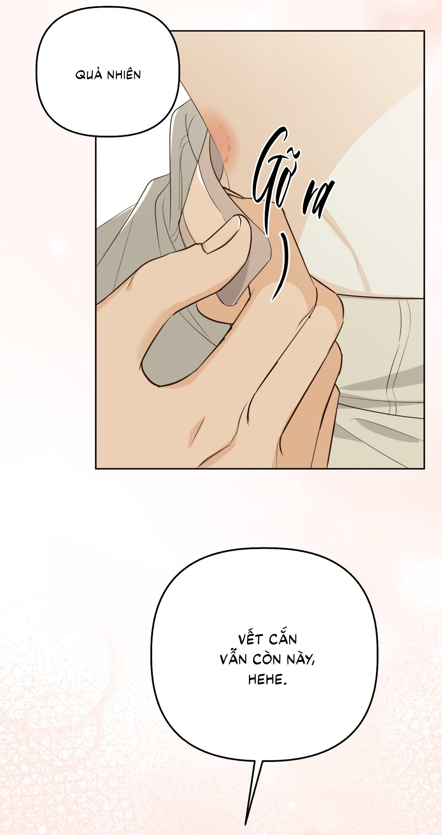 (CBunu) Ngọn Gió Dịu Dàng - Chap 1