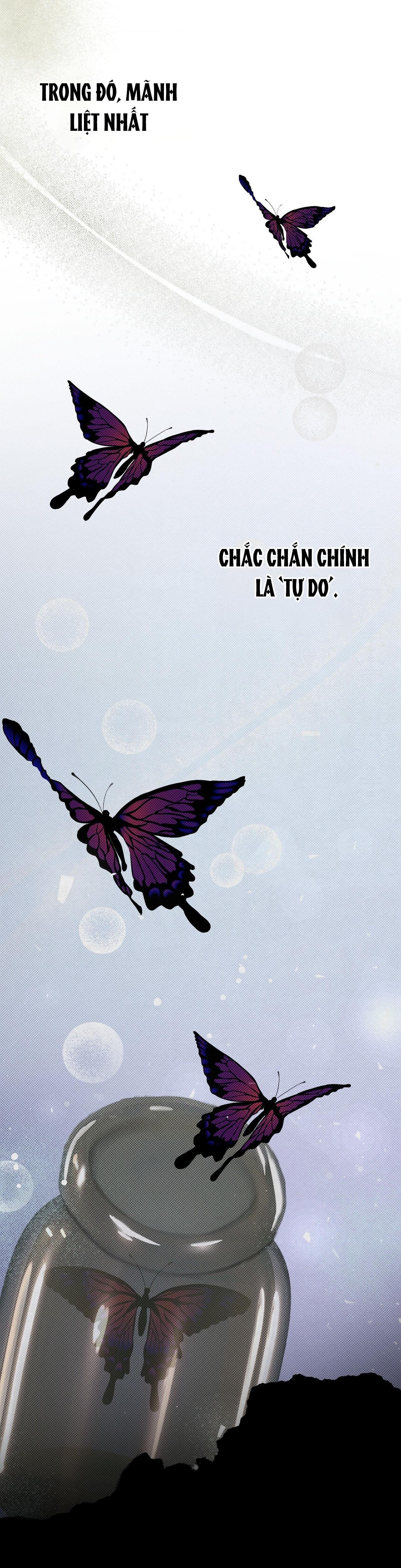 TRANH VẼ - Chap 7