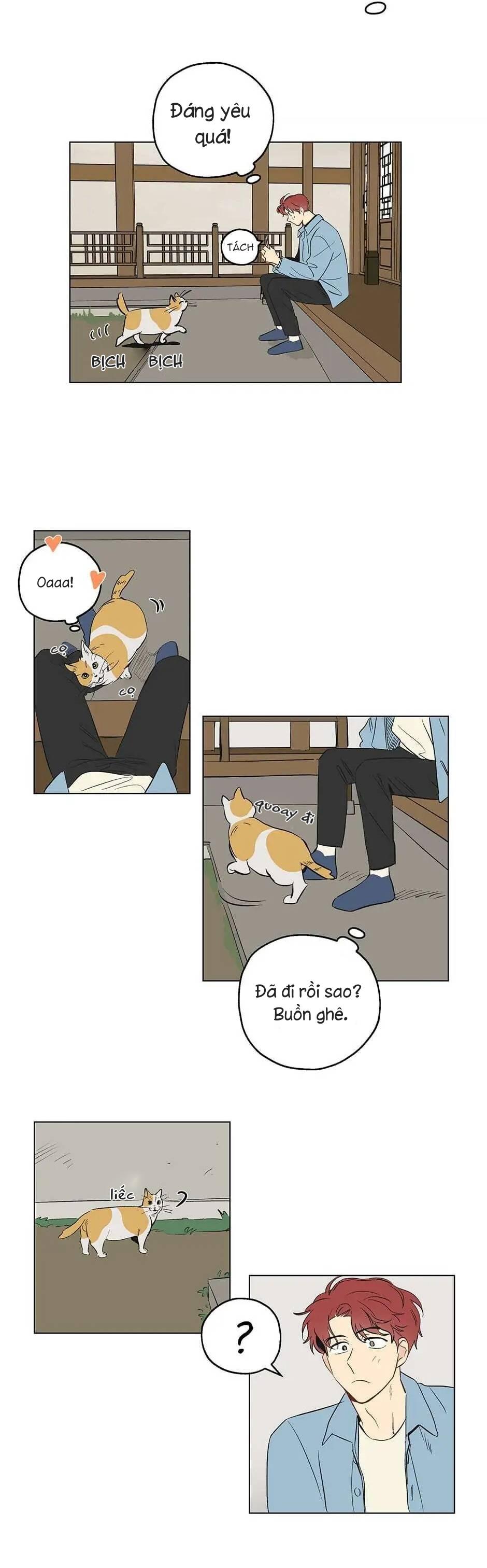 Liệu Rằng... Đây Có Phải Chỉ Là Một Giấc Mơ Không!? - Chap 1