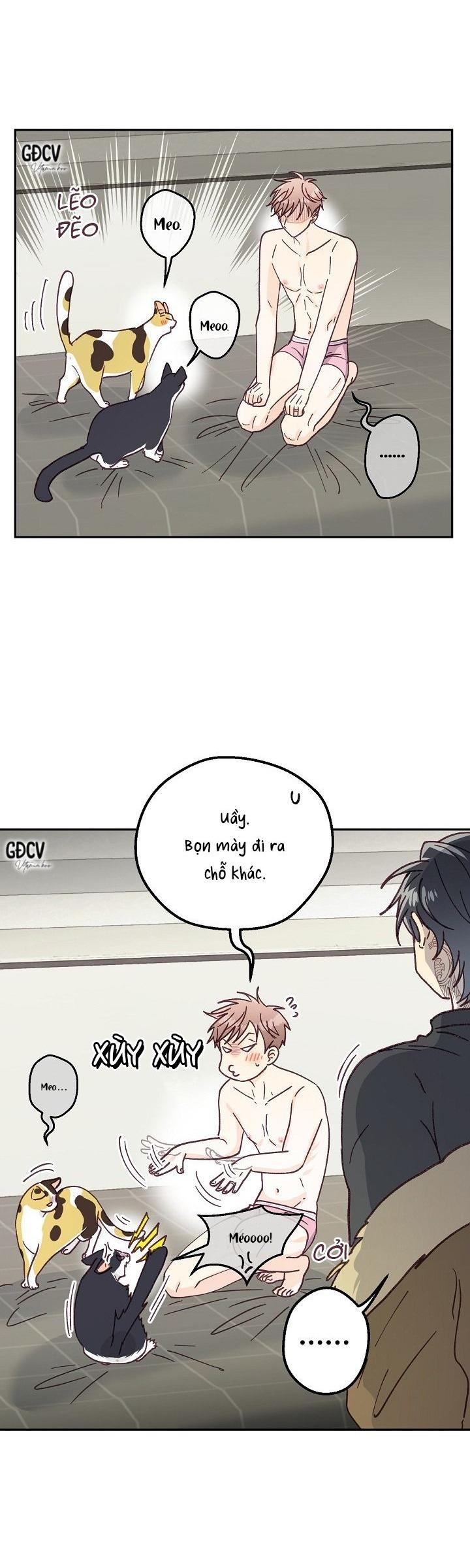 [END] BẠN TRAI VÔ SONG CỦA TÔI - Chap 31
