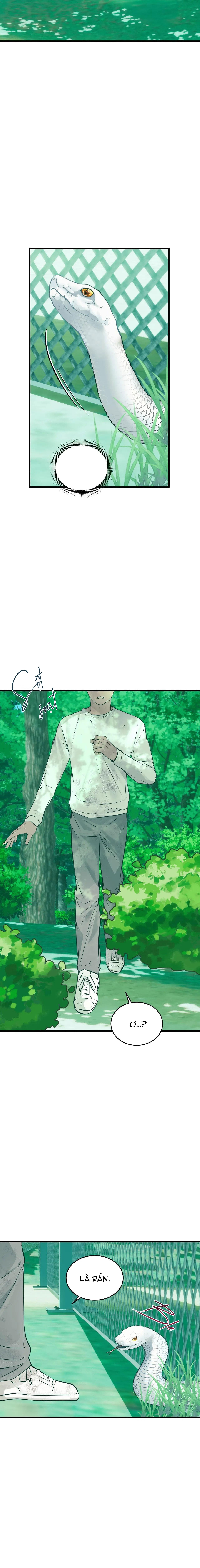 ÂN NHÂN CỦA RẮN - Chap 22