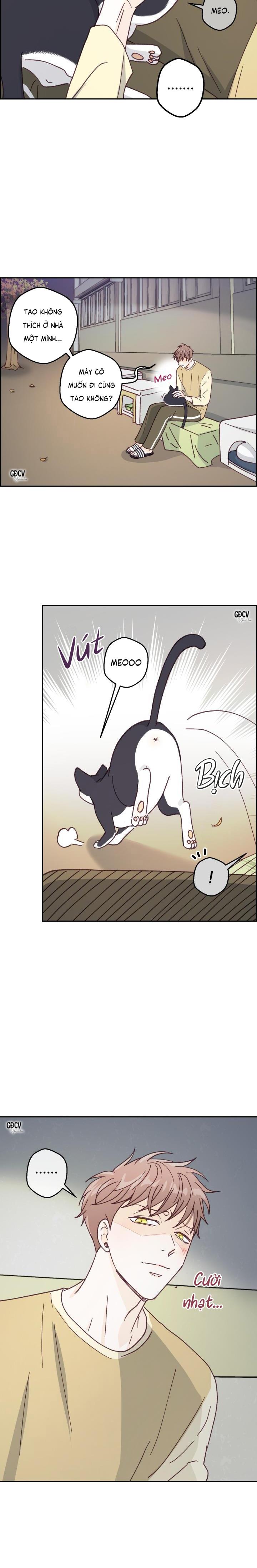 BẠN TRAI VÔ SONG CỦA TÔI - Chap 13