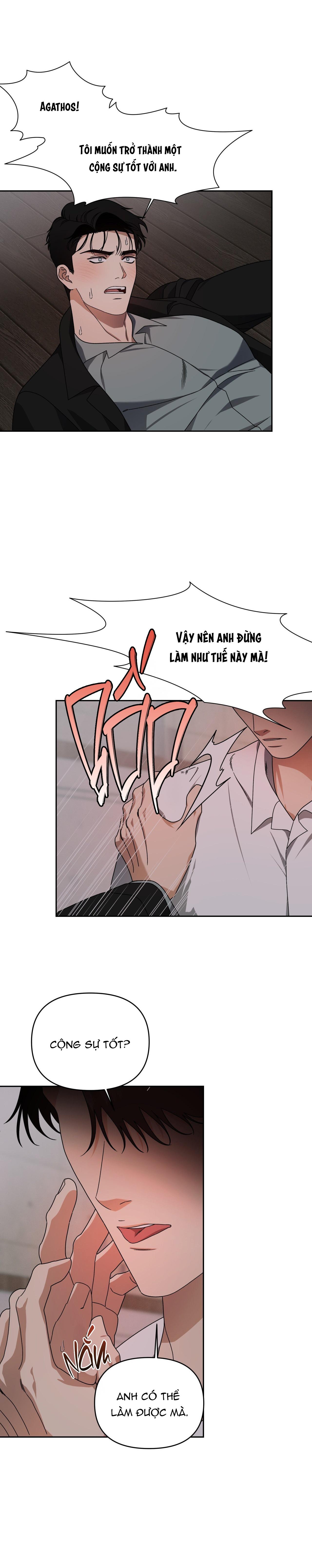 AGATHOS REPORT - Chap 8
