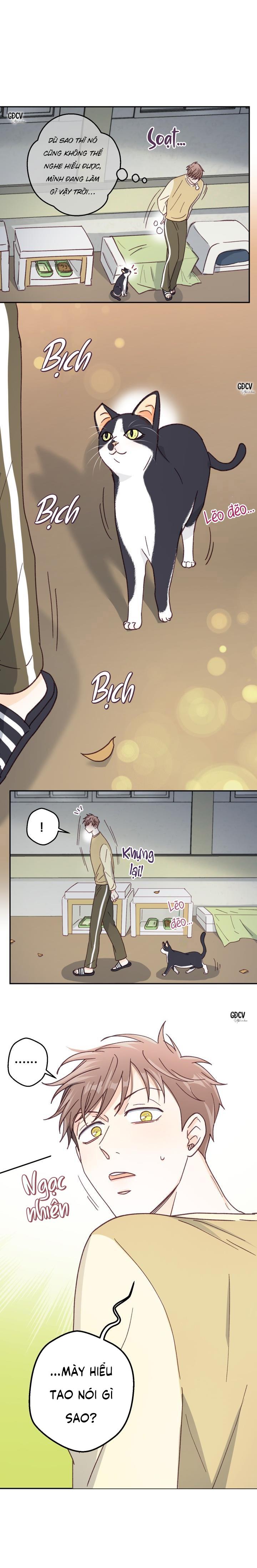 BẠN TRAI VÔ SONG CỦA TÔI - Chap 13
