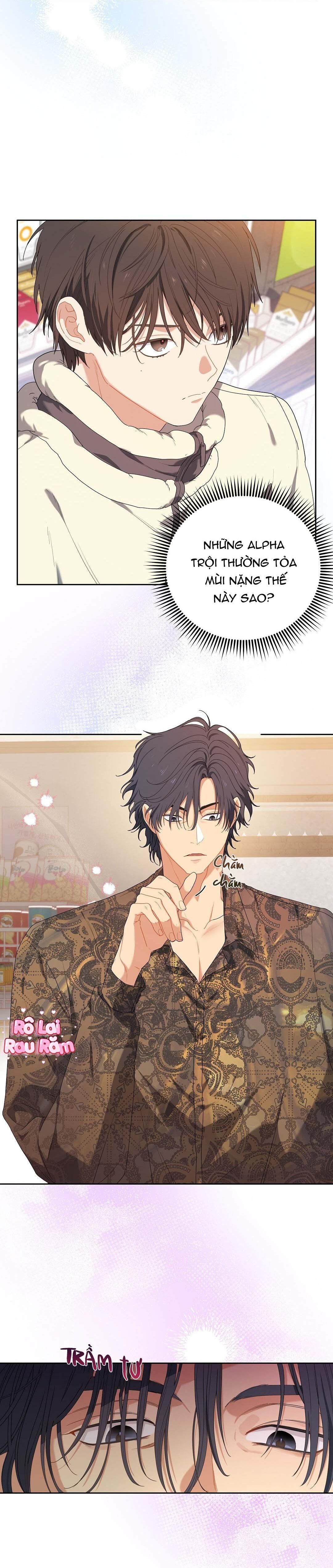 Hoa Anh Đ ào    - Chap 2