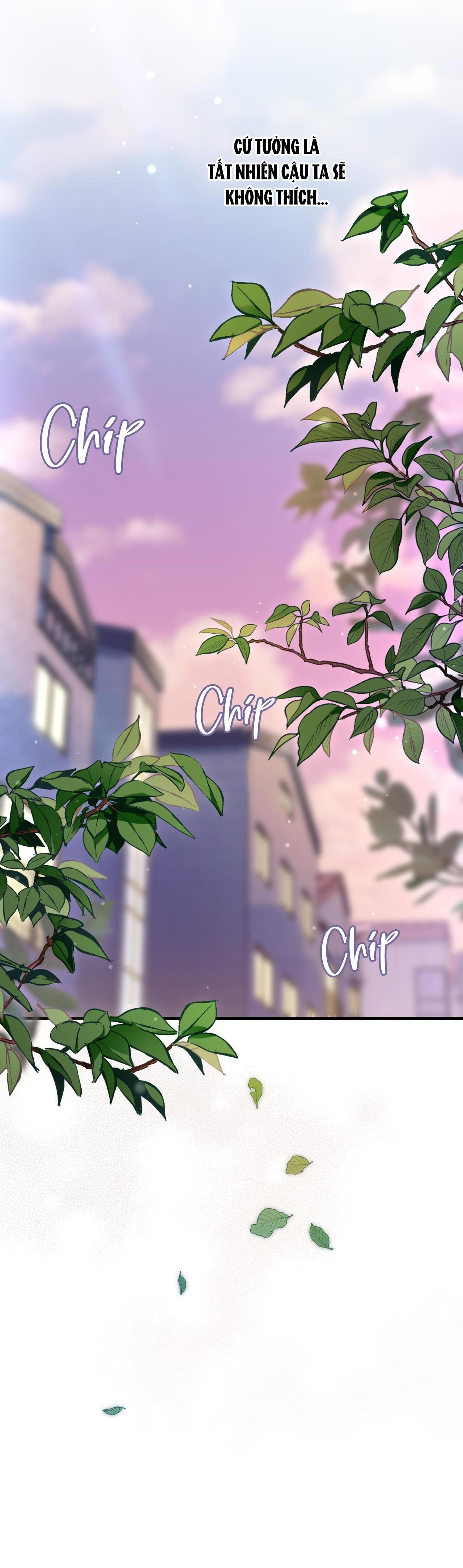 Guild member - Chap 39