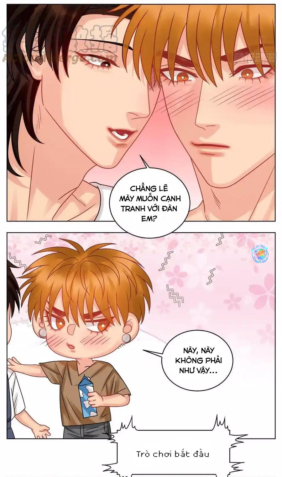 Ký túc xá nam phòng 303 - Chap 216