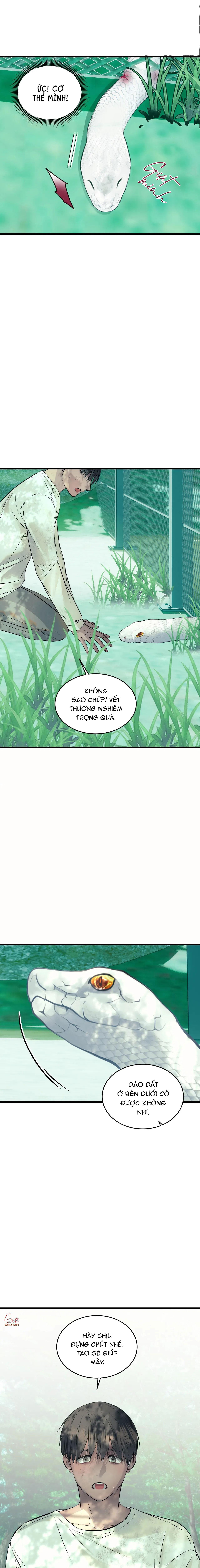 ÂN NHÂN CỦA RẮN - Chap 22