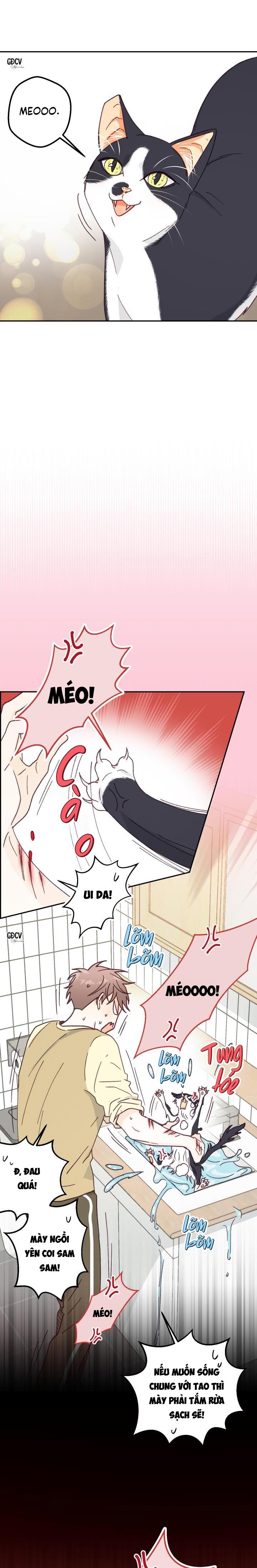 BẠN TRAI VÔ SONG CỦA TÔI - Chap 13